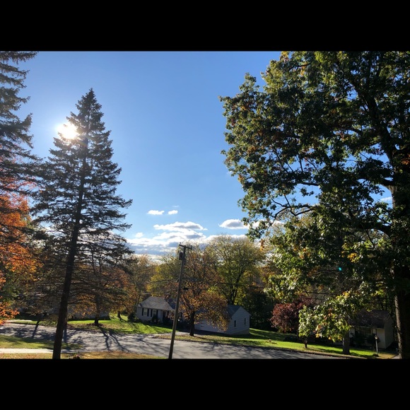 Meet your Posher, Susannah - Picture 1 of 1